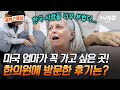 [#여권들고등짝스매싱] 이것이 바로 동양의 의학이다💥 보기만 해도 몸이 개운해지는 한국 표 침 치료💉