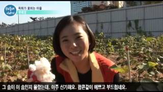 20111028 (영등포구)우리동네 이야기   문래동