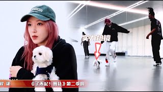 Cheng Xiao took the dog to the rehearsal,the dog's strength steals the spotlight and overwhelms Kaka