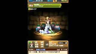 【パズドラ】ゴッドフェスなので５回【回してみた】