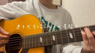 迷子犬を探して/七尾旅人(cover) 弾き語り