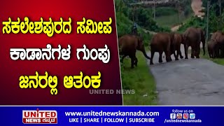 ಸಕಲೇಶಪುರದ ಸಮೀಪ ಕಾಡಾನೆಗಳ ಗುಂಪು: ಜನರಲ್ಲಿ ಆತಂಕ | Elephant | Sakleshpur