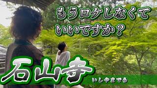 神社ばっかり行ってたからお寺に行ったらこんな気持ちいい空間だったなんて…