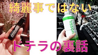 綺麗事じゃない、ドテラ【入会登録・チーム・紹介者】を知ってほしい！