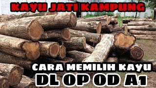 CARA MEMILIH KAYU JATI BULAT UNTUK PROSES PRODUKSI //mengenal istilah ukuran kayu