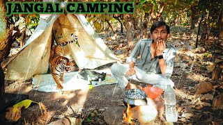 Forest Camping \u0026 Campfire Cooking | Surviving the Wild Forest Camping Challenge #campingvideos