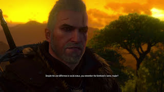 Difference of a Witcher vs a Human in Witcher 3