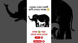 তোমরা এখানে 🧐 কয়টি প্রাণী দেখতে পাচ্ছো | puzzle riddles #shorts