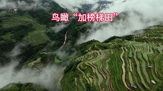 鸟瞰加榜梯田（如仙境般美不胜收）