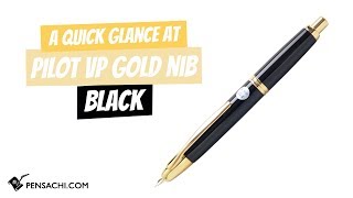 Overview of Pilot Vanishing Point Capless Black color Gold nib Fountain Pen by Pensachi.com