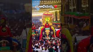 ರಾಜ ಗಾಂಭೀರ್ಯದಿಂದ ಅಂಬಾರಿ ಹೊತ್ತ ಅಭಿಮನ್ಯು🥰#elephant #dasara #mysore