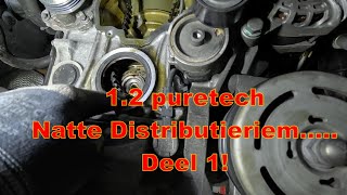 1.2 Puretech. Natte Distributieriem 🛢🛢in de Motorolie😨😨na weer 50000 KM. De Uitbouw.