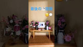 #誕生日 #在宅介護 #shorts