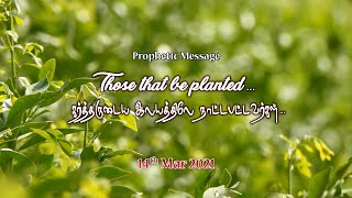 Those that be planted... (கர்த்தருடைய ஆலயத்திலே நாட்டபட்டவர்கள்...) with subtitle - (14th Mar 2021)