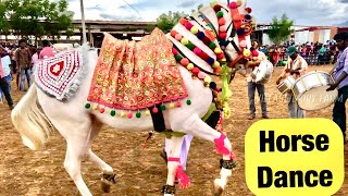 Anthiyur Famous Horse Market | Horse Dance  | அந்தியூர் குதிரை சந்தை | Village Dairy Farm