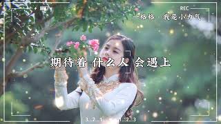 【抖音热门歌曲dj版】『谁带我远飞 找梦乡』【動態歌詞Lyrics】♫ #一格格# 我是小力气#djremix#抖音热歌dj#歌曲合集#抖音歌曲