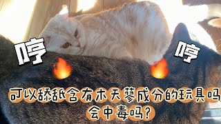 可以舔舐含有木天蓼成分的玩具吗？会中毒吗？#养猫经验分享