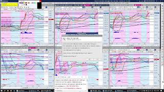 [해선트레이더]  (신호차트-야간 나스닥) 25-2-3-월-해외선물/국선 실시간 추세 신호차트 송출 (항셍,나스닥,에센피,오일,골드,실버,국선)