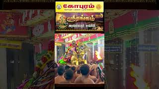 ஸ்ரீரங்கம் அரங்கநாத சுவாமி - வைகுந்த ஏகாதசி இராப்பத்து - வேடுபறி | Vaikunda Ekadasi Day 08 #shorts