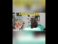 友情提示：路上的东西不要乱捡！ 猫meme 猫meme小剧场 cat 迷恋 funny 萌宠 貓 pets 萌寵 治癒小貓 memes