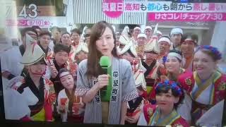 TBSあさチャン　桜舞ポーランド国際チームX帯屋町筋さん