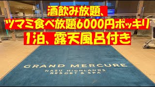 那須でも酒飲み放題、ツマミ食べ放題で6000円ポッキリ、もはや宿泊、大浴場、露天風呂、サウナ付きはオマケです！！