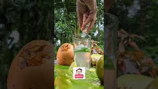 coconut யாரெல்லாம் வெறும் வயிற்றில் இளநீர் குடிக்கக் கூடாது? #coconutwater  #elanir  #coconutmilk