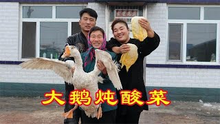 寒冷的东北吃啥热乎？大铁锅酸菜炖大鹅，一出锅那是真香啊，馋了【美食婆媳】