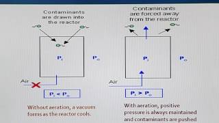 BIO204 Topic049