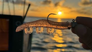 We Bagged out - Snapper Candy