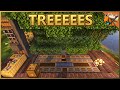 Taking Xisuma's Create Tree Farm to the NEXT Level