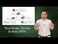 How STP Elects Root Bridge with Hello BPDU?