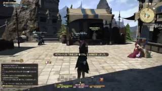 FF14～イッシュガルドで気ままな旅