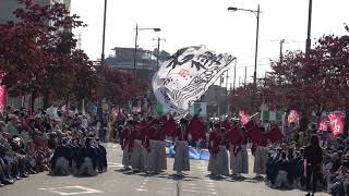 朝霞高校　若欅＠2018　つるせよさこい祭り