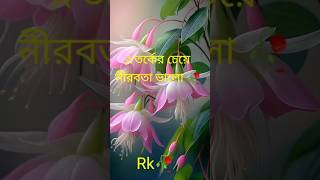 ☆তর্কের চেয়ে  নীরবতা ভালো 🥀নামাজ বাদ দিওনা#viral #islam #youtubeshorts #viralvideo #shorts 🌷🥀💝💖♥🔰💗💚