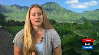 Ma'ili'ili Musings: Sustainable Agriculture in Waianae (Hawaii Food And Farmer)