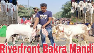 Riverfront Bakra Mandi on Sunday 4th December