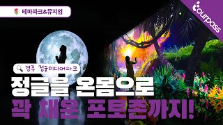 미지의 정글 세계속으로 경주 보문 미디어아트 프리미엄 포토존 렛미체인지