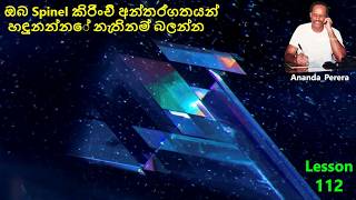 L 112 | ස්වාභාවික ස්පිනල් ඇතුළත් කිරීම් | අන්වීක්ෂීය ආශ්චර්ය සොයා ගන්න | Natural Spinel Inclusions