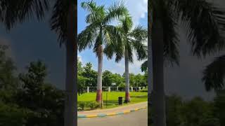 Csjmu Full View || CSJM University Kanpur #csjm #csjmu #shorts #short #viral