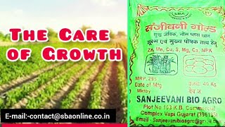 SANJEEVANI POWER GOLD ✨️ FERTILIZERS ✨️ SANJEEVANI BIO AGRO.           www.sanjeevanibioagro.in