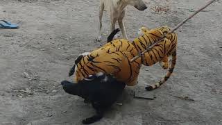 Fake Tiger Prank Dog 2021 So Funny Try To Stop Laugh Challenge