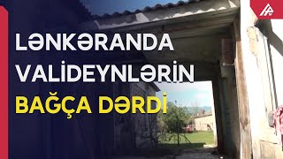 Kənddə bağça var, uşaq da çoxdur, amma valideynlər uşaqları bağçaya qoymur - APA TV