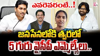 జనసేనలోకి త్వరలో ఐదుగురు వైసీపీ ఎమ్మెల్యేలు.. Janasena Leader Rayapati Aruna Sensational Comments