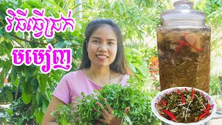 វិធីធ្វើជ្រក់មមៀញស្តង់ដា