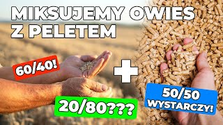 Spalamy pellet z owsem w Mini Bio NE! 🌾 Jaką mieszankę wsypaliśmy? Odc. 206 Dobrekotly.pl