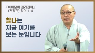 1-4 초기불교 - 아비담마, 아비담맛타상가하의 의미 | 법을 보는 두 가지 공리 - 고유성질과 찰나 | 역자 서문 (아비담마 길라잡이 1-4)