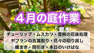 【ガーデニングを楽しもう！】４月の庭作業９種をまとめました。よろしければご参考になさってみて下さい。#gardening #ガーデニング #flowers #garden #二十四節季 #種蒔き