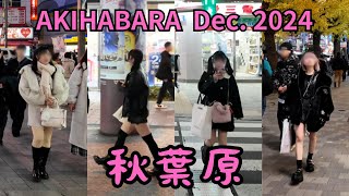 [東京散歩 4K60] 秋葉原 AKIHABARA / Dec. 2024 (2)  [WALK TOKYO]