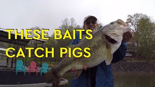 BEST LURES for BEDDING BASS